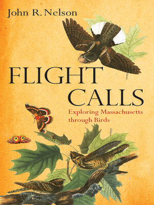 cover image of Flight Calls